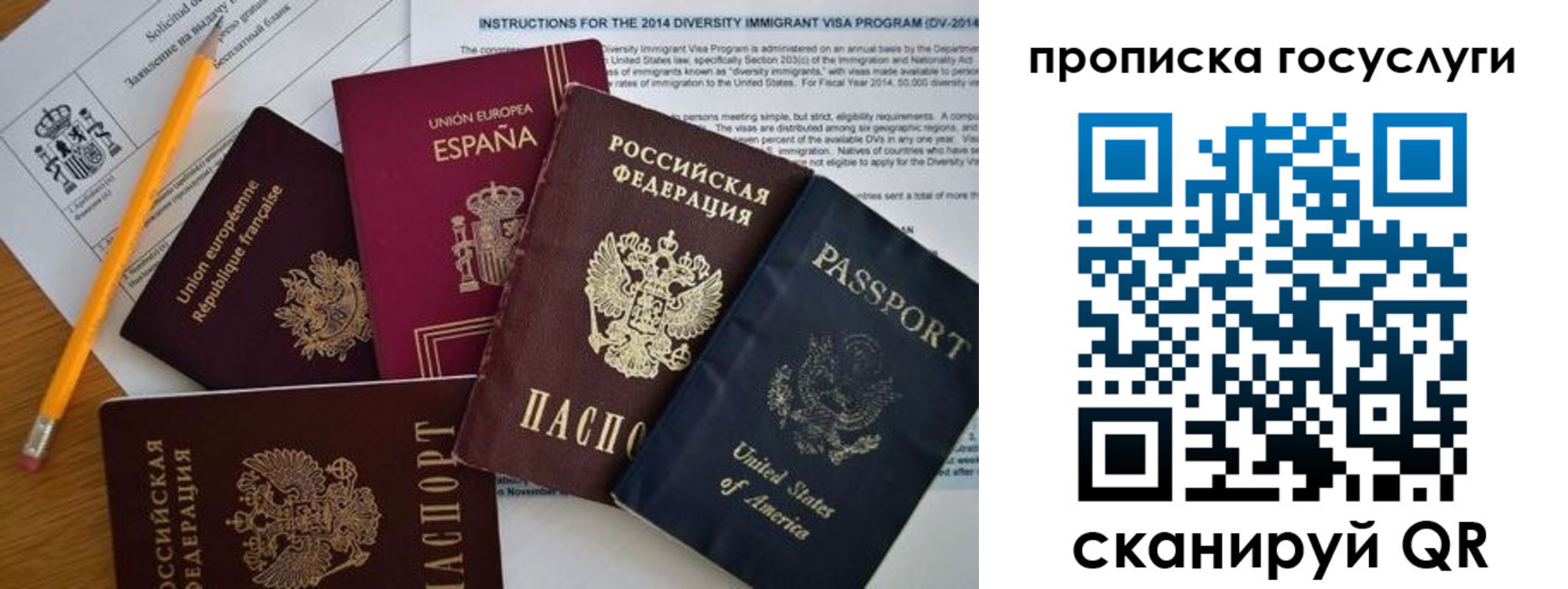 прописка гарантия в Дрезне